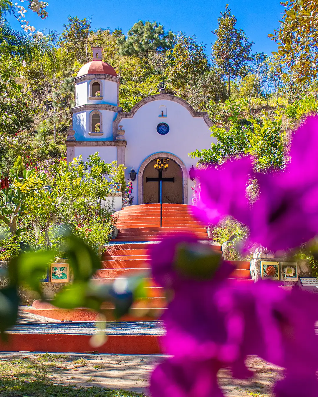 Jardín botánico en puerto Vallarta, capilla al fondo.